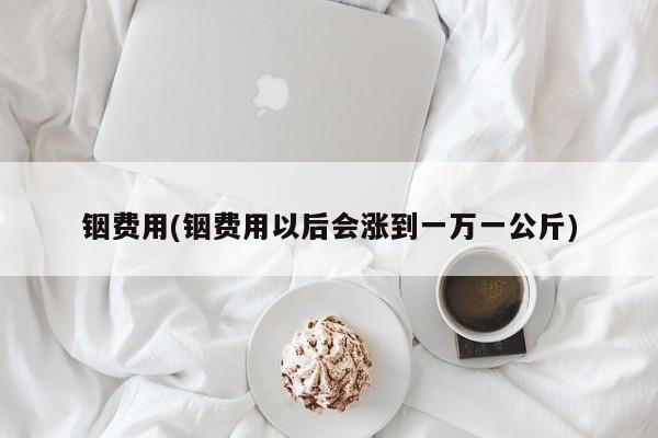 铟费用(铟费用以后会涨到一万一公斤)