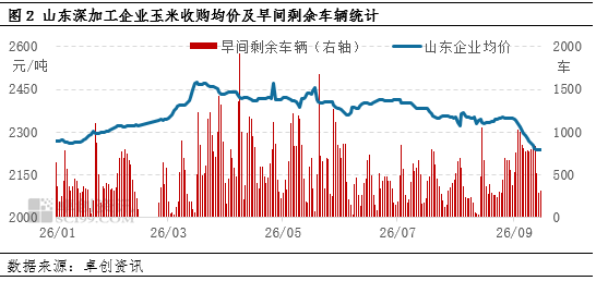 “玉”见未来：华北新季玉米价格持续下跌，东北产区如何应对？