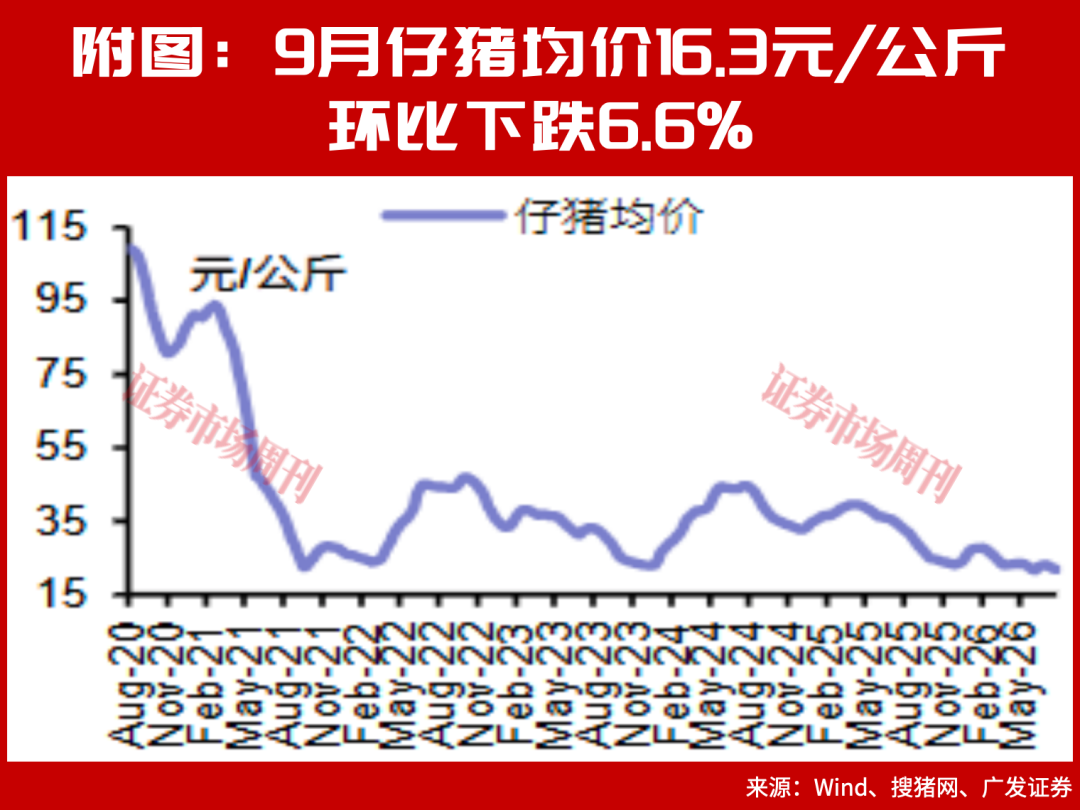 磨底12个月创历史纪录，猪周期反转在即？